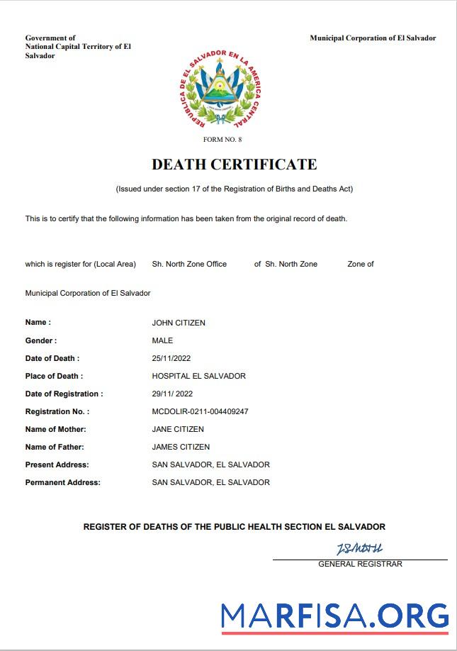 Printable El Salvador vital record death certificate Word and PDF template